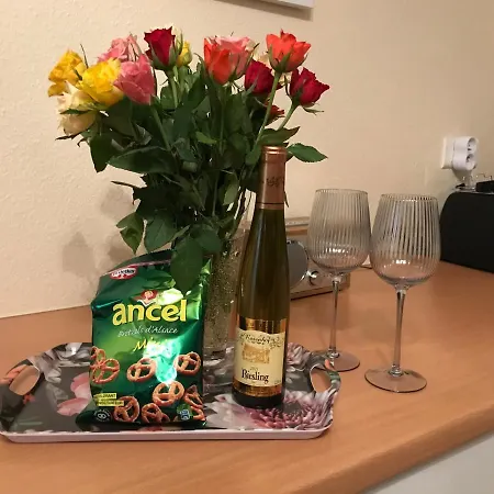 Apartmán Le Moderne Vintage Hyper Centre,3 Chambres, Neuf Au Calme, 3 Etoiles Munster (Haut-Rhin)