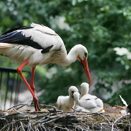Apartmán Le Moderne Vintage Hyper Centre,3 Chambres, Neuf Au Calme, 3 Etoiles Munster (Haut-Rhin)
